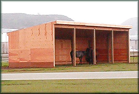 Visit Timber Quest, "The Gateway to your dreams"